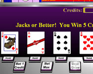 Casino critters video poker