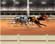 Greyhound racing kaszin HTML5 jtk
